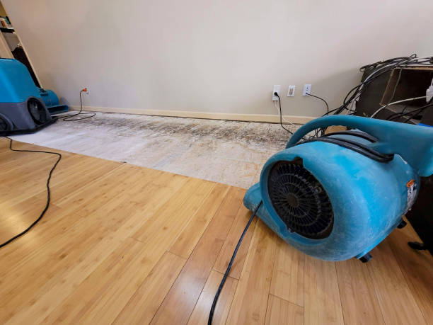 Professional Flood Damage Cleanup technician working in Delaware, NJ